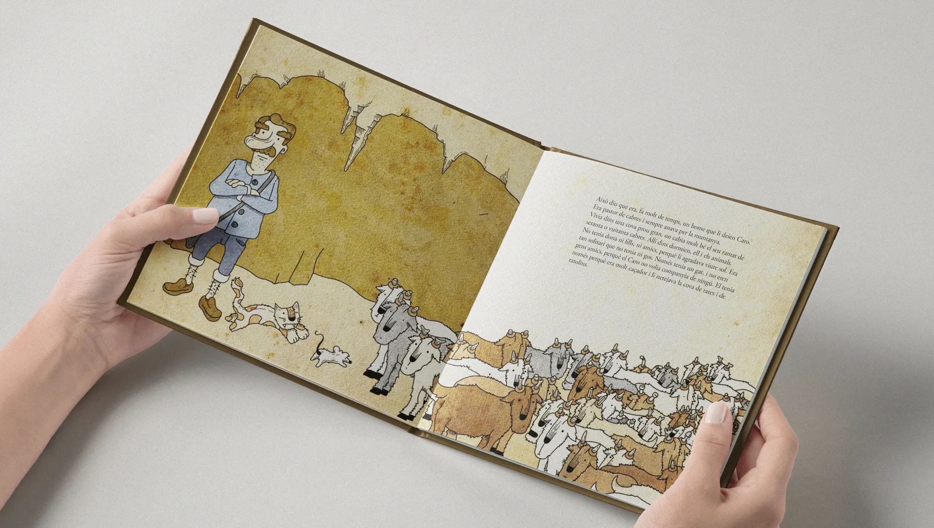 Il·lustració per a un llibre de literatura infantil i juvenil